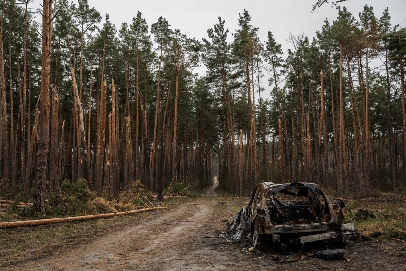 Зі штурмовика на її авто скинули аж дві бомби: під Києвом у лісі знайшли могилу Ірини Цвілої