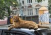 Завершение июля и первый день августа: какая погода будет в Одессе на следующей неделе