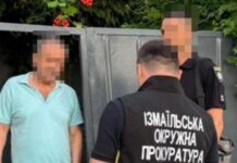 Добывали песок из Дуная: в Одесской области разоблачили предпринимателей и мэра