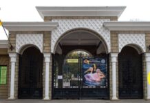 Зоопарк могут перенести: в Одессе возникла новая идея, но руководство против